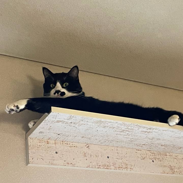 Bf116bb0 d2bd 4bee b1f9 50736d10f240 1650113456046