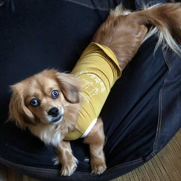 Bf1176ea 636f 4240 a928 bff9ccb53520 1520719701938