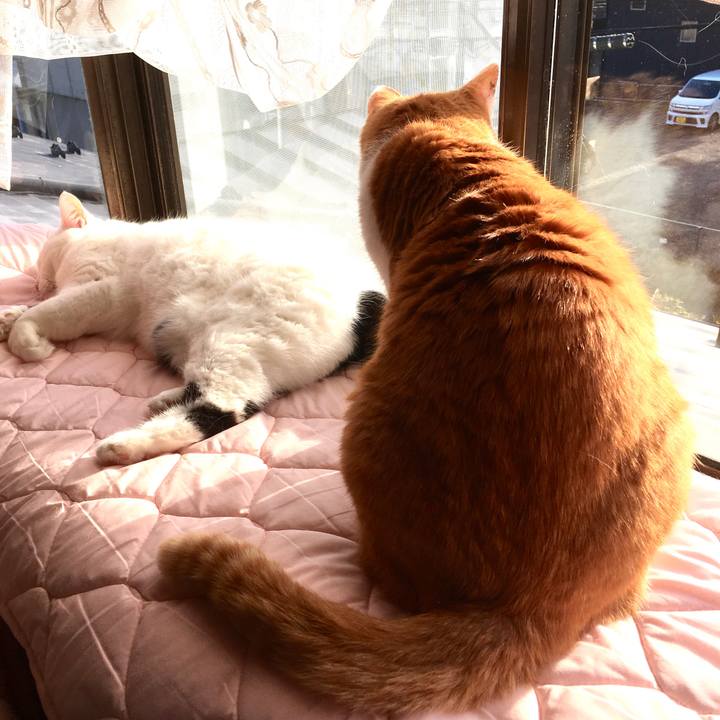 Bf1188a0 f11d 4c66 91cd 66612f999b8b 1576739643137