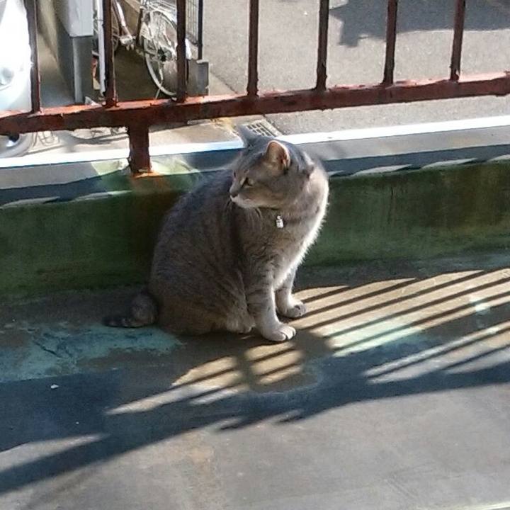 Bf1188af 3da7 4812 9780 93bd2eaa5139 1540012117025