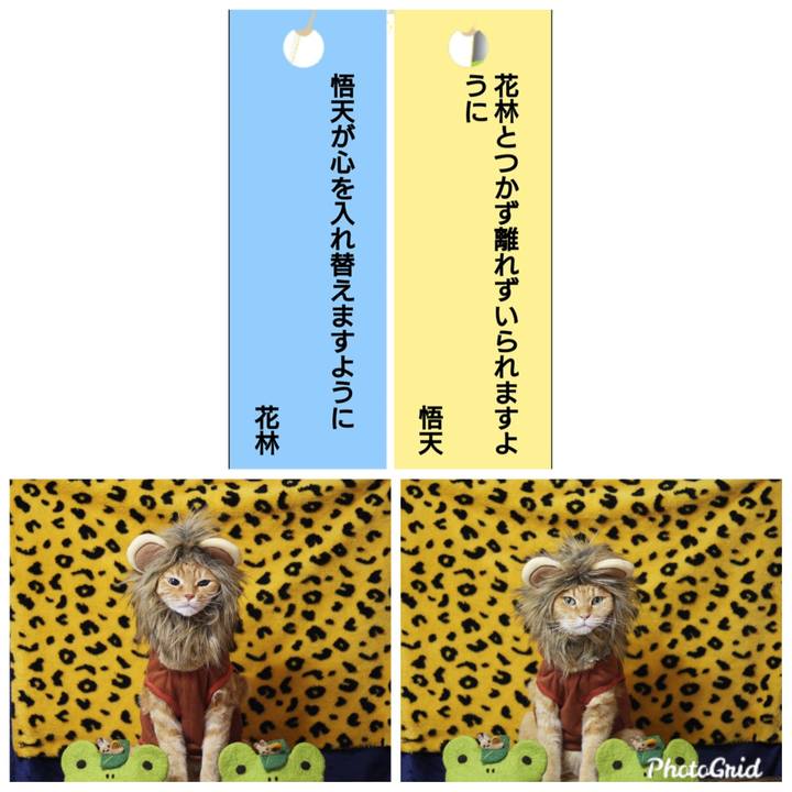 Bf11a515 4a45 44b6 9a5d 42833e39856b 1625663450251