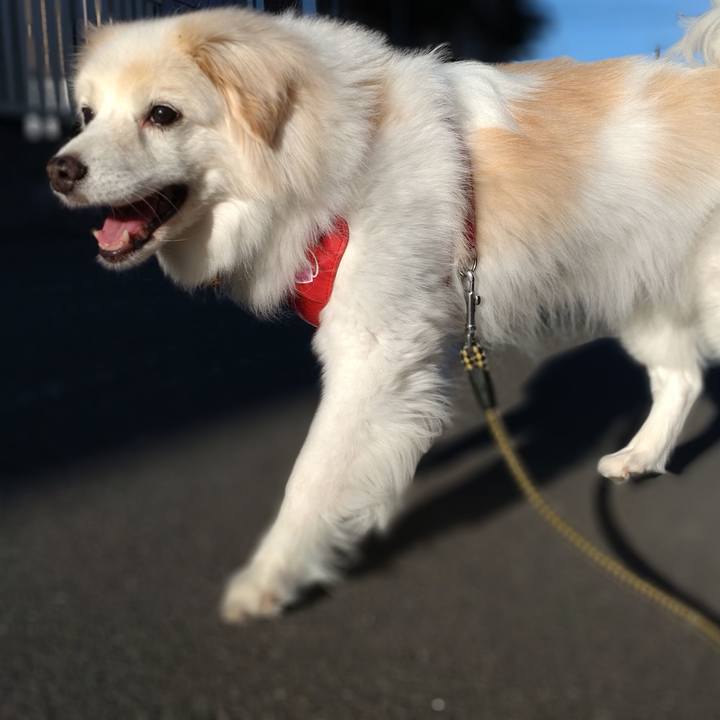 Bf11c0d7 0a53 4b92 a88f c4459f075658 1656452276680