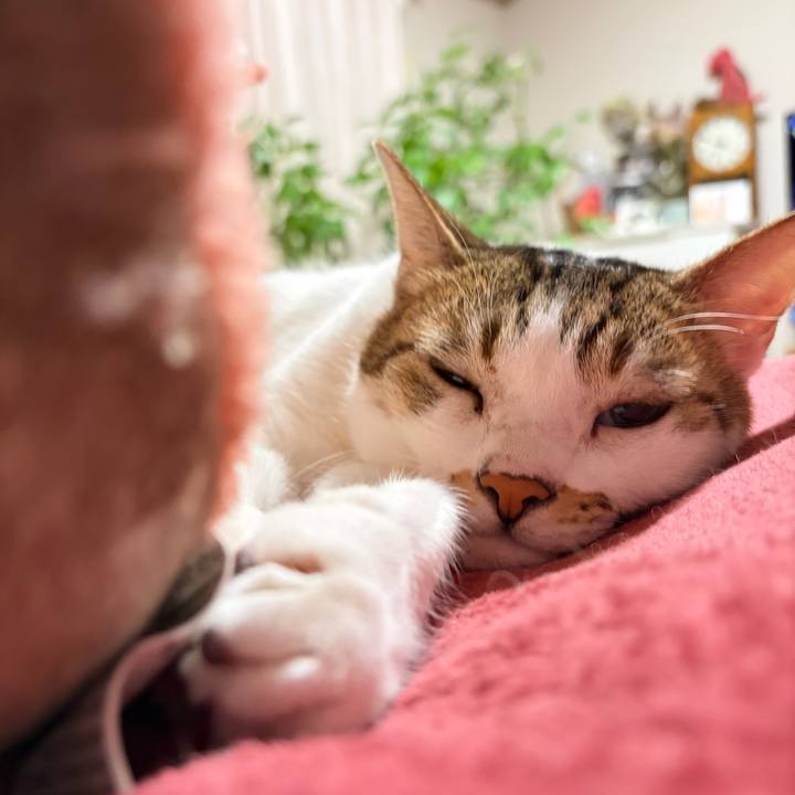 Bf11c212 612d 40b1 9490 3353724d8ec5 1769035603688