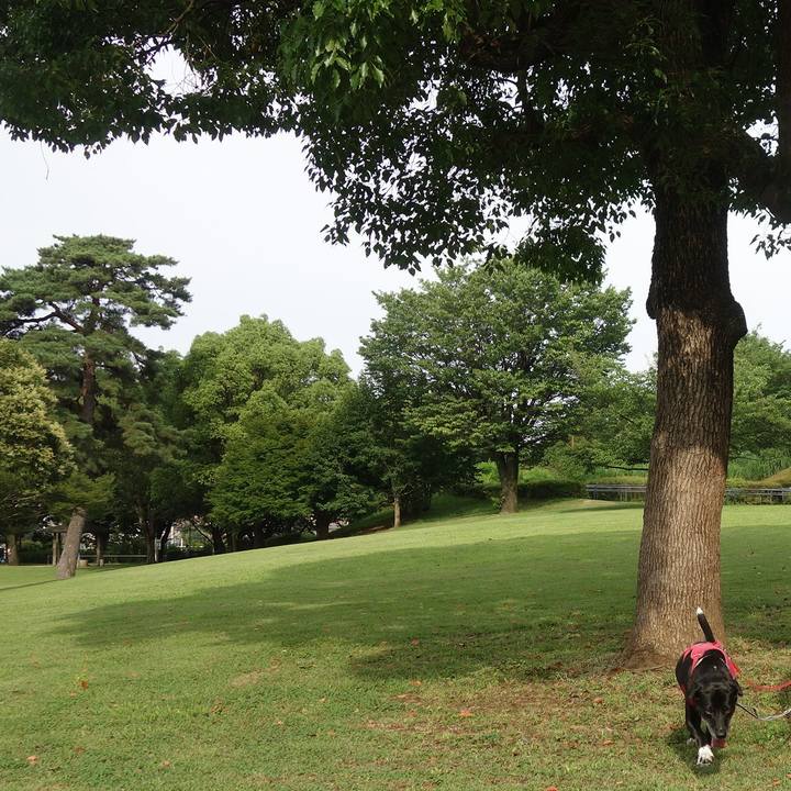 Bf11fa82 32ae 407a 8105 85755f04a3a6 1688516012348