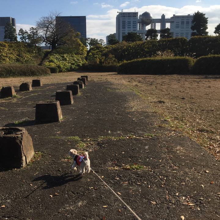 Bf120c67 5527 47d7 b7aa 16a6f3c38ee8 1512285751166