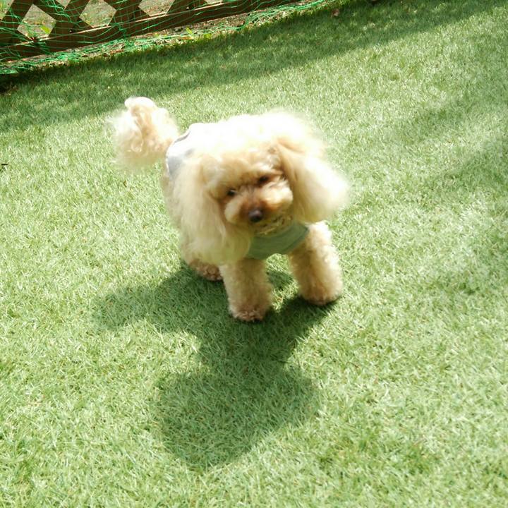 Bf121d06 fc7d 4ef2 b502 59a021029c51 1523955258196