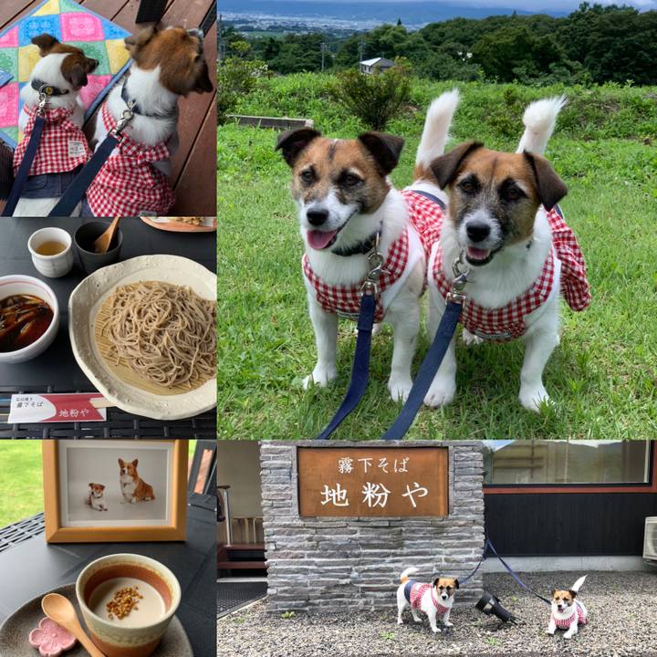 Bf12456c 60e1 4146 8318 e52ff1a757b1 1594639794461