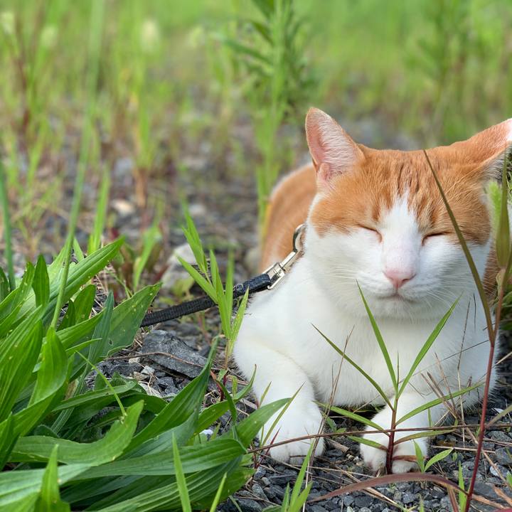 Bf1245c9 bcce 4401 972e 7b41e6f4c49a 1597357735680