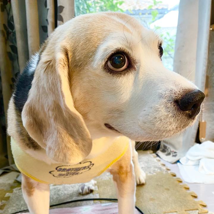 Bf125bfe c313 40c2 8b09 3fbf692c9d7c 1632630268976