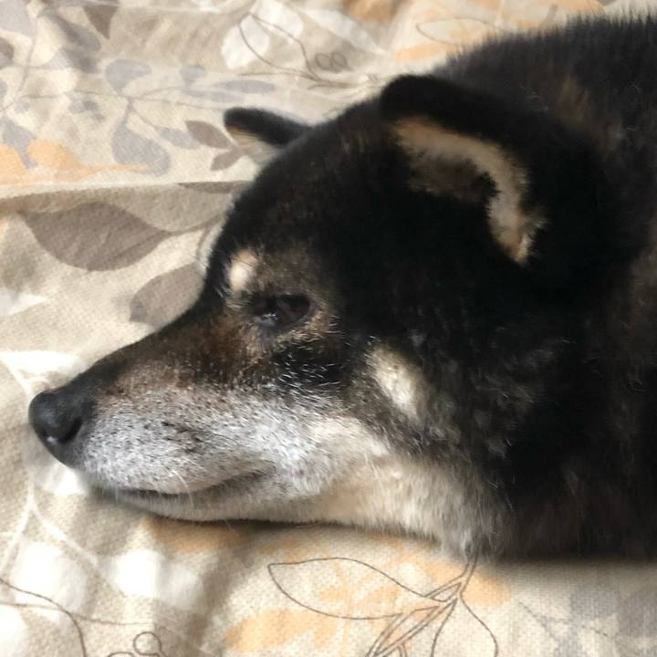 Bf125dc8 6a90 4da5 9692 81bb7f569ea0 1592388020955