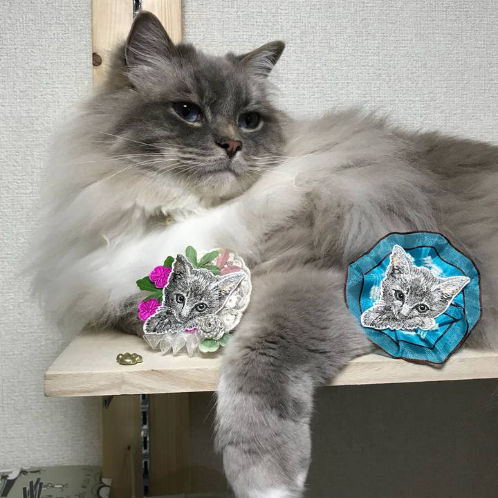 Bf134a90 f552 46ed b735 856edf0e174e 1525360375918