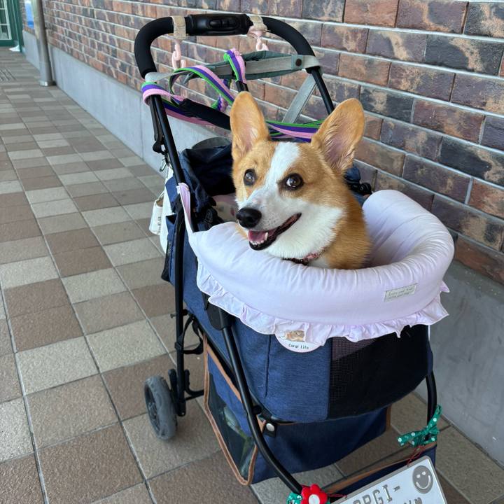 Bf13762a a327 4ce4 b1da 45afc5318c49 1757228162265