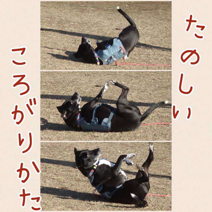 Bf137d3d 9fd9 4b57 b3ff 329a8eb0ea2e 1710380874324