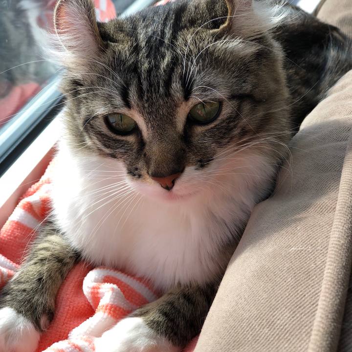 Bf138b5a 5637 470c 8394 04ba63fd62fc 1517887484003