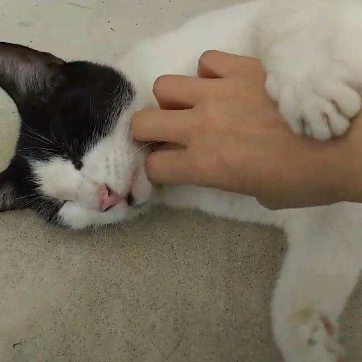 Bf13fe92 1ab3 4fc9 b5ac 573d54f1a9f1 1527067379657