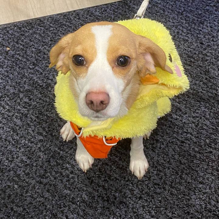 Bf141091 643f 42a7 ace6 ec533b083d8e 1577633294061