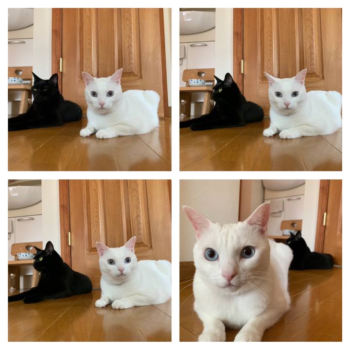 Bf144d17 5402 4c71 a097 32c306cbb318 1595049064883