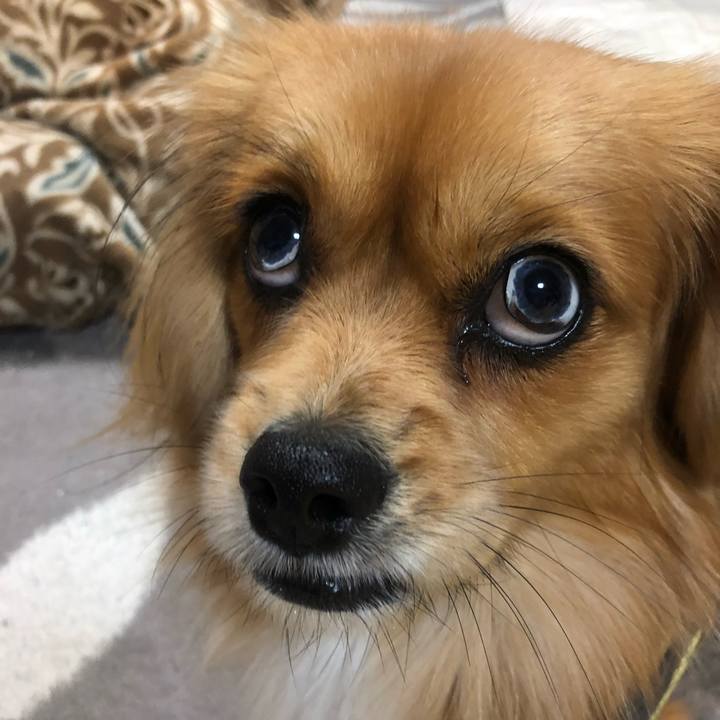 Bf145dad b4c8 462a b0fb 72c5112d7106 1545602211570