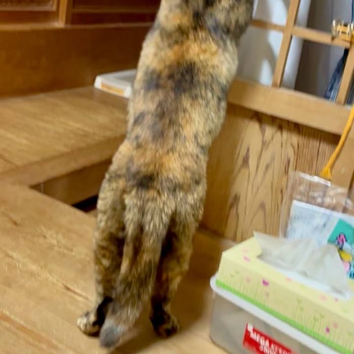 Bf14a2ab 89ff 4d9e 8fca 2af37e93b934 1769947764043