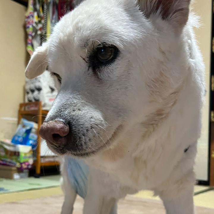 Bf14e42d f3a8 4858 83e6 08cb31bf9fb0 1768865407301