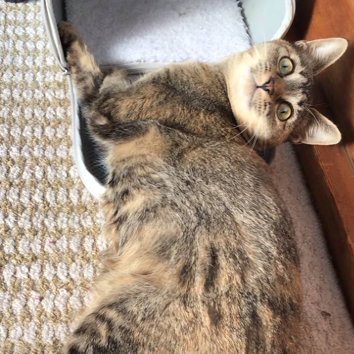 Bf1509e8 1c9f 4155 953d c5580170b2a3 1577840487849