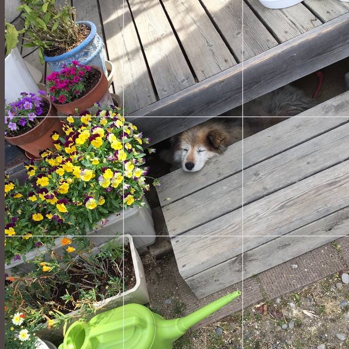 Bf1555f6 710d 44a9 8870 0658d20e9707 1553729494145