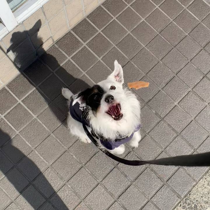 Bf156340 46ff 4308 b582 ddb2a74c0afc 1685778439785