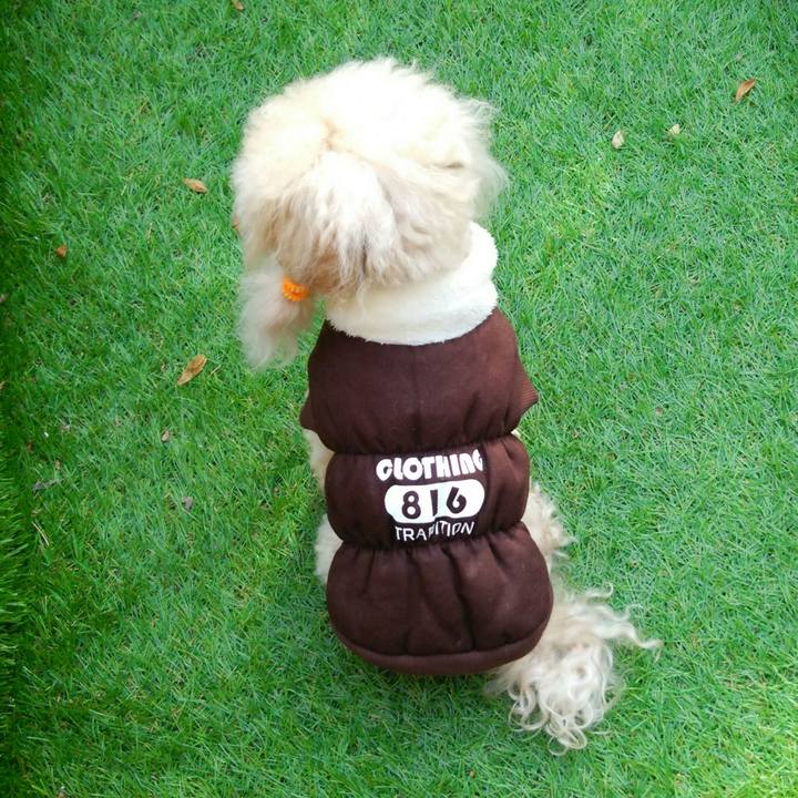 Bf15886e d9da 40ca 999e 4fafa0693625 1543495117674