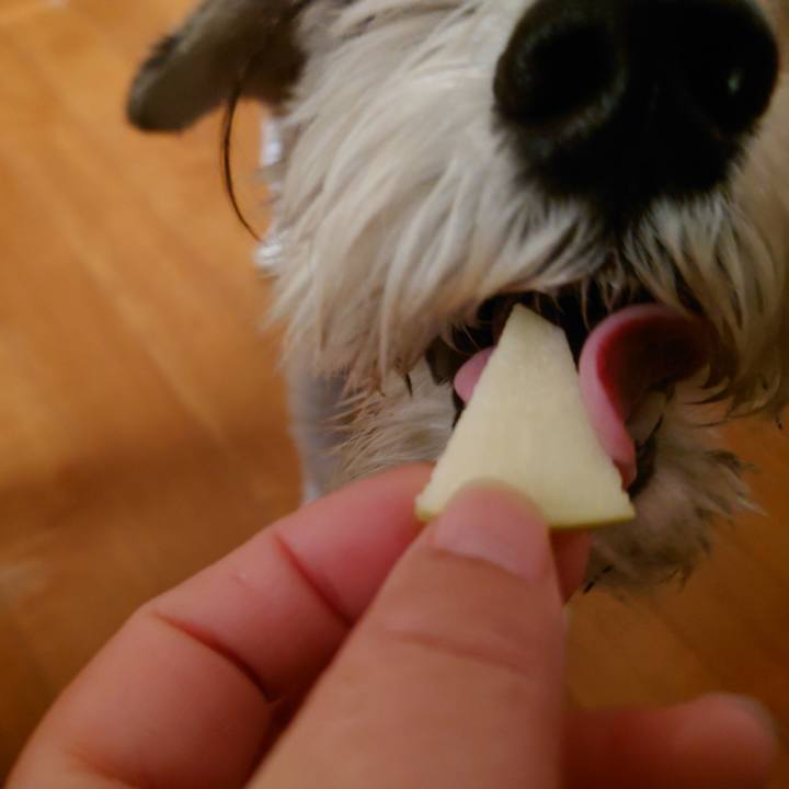 Bf160294 86d8 49d3 aea3 31c2aa43df95 1764455095558