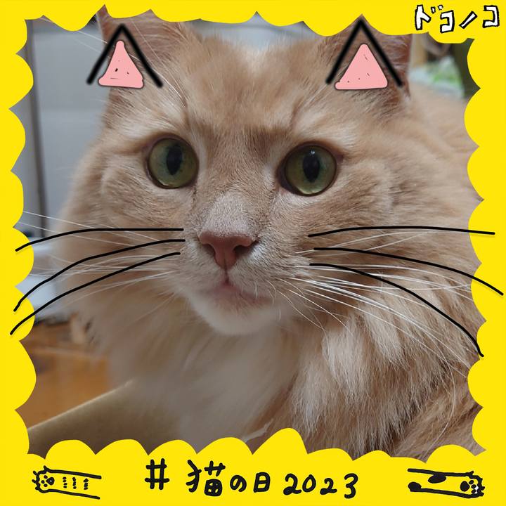 Bf160724 9a9f 402f a868 67901acd9b46 1677038503349