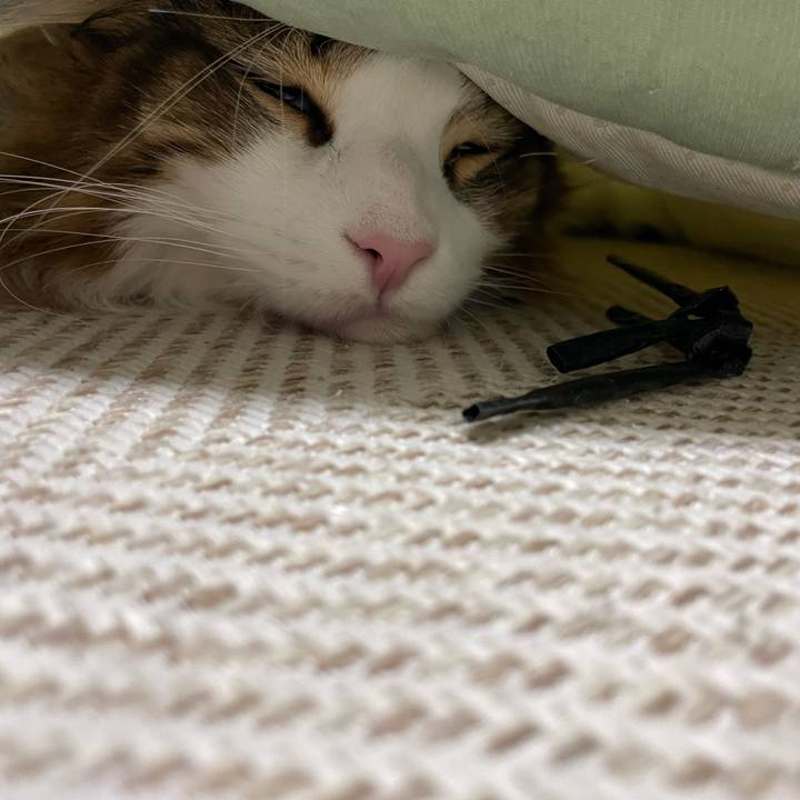 Bf1626e1 6312 493b baf5 374cf1811b7c 1676760779660