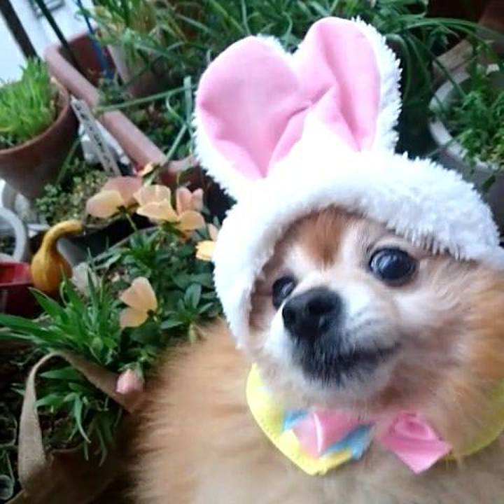 Bf164f64 bf17 4168 b6bf 9ee1d91cf890 1524995988461