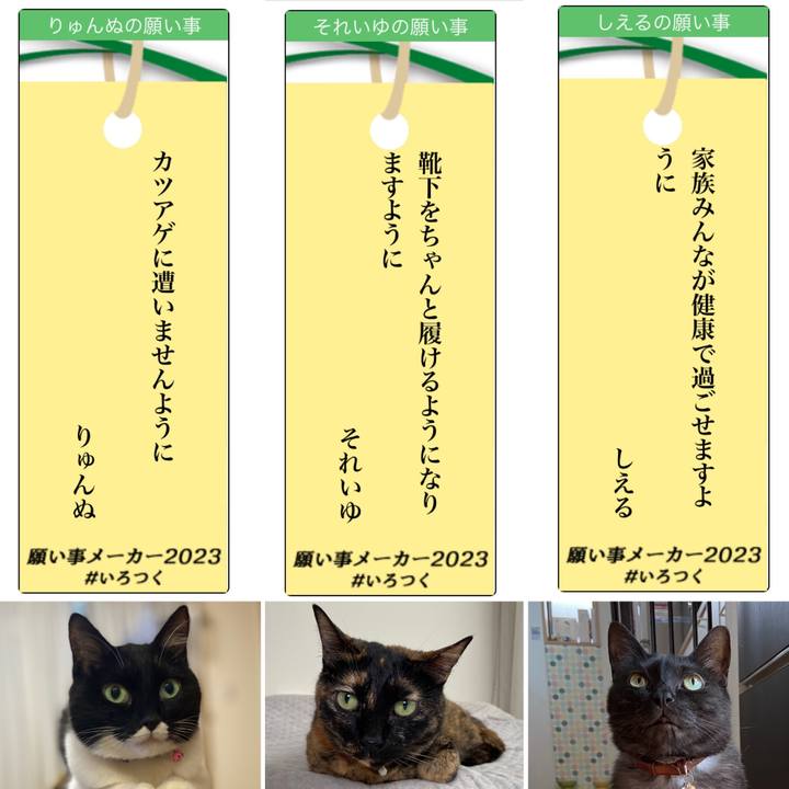 Bf168113 8a76 446d 9d13 efeb39403e15 1688739018578