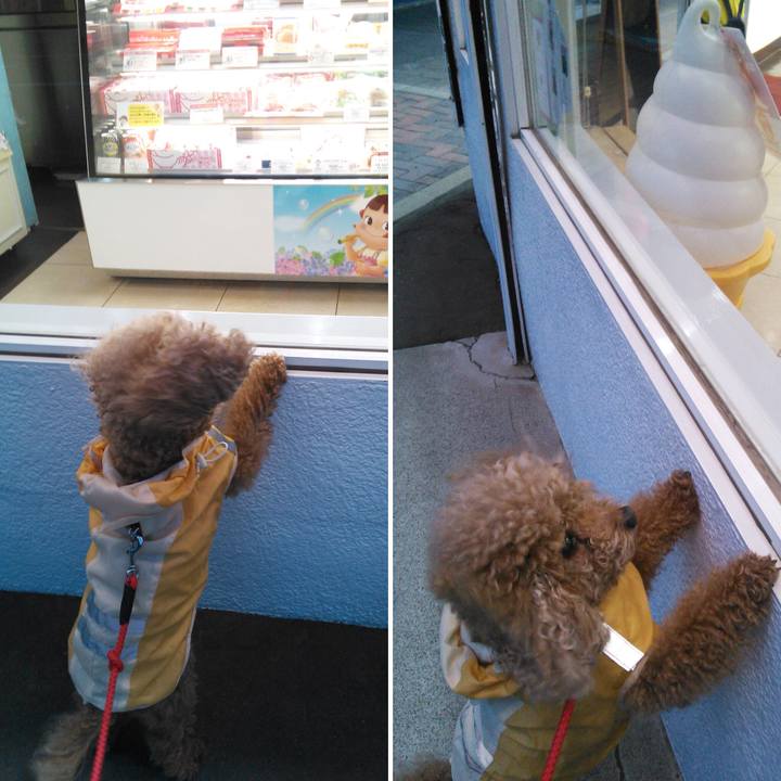 Bf1686b2 c31a 4f5c 950c 59620eaa6971 1538228225065