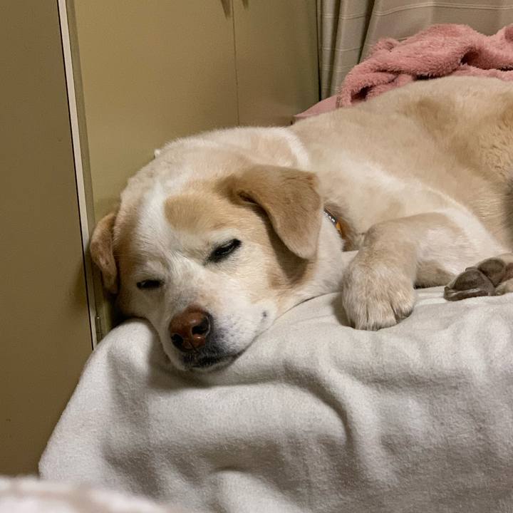 Bf1697dc 33a7 4f41 a95b 89218b641ddf 1646317923004