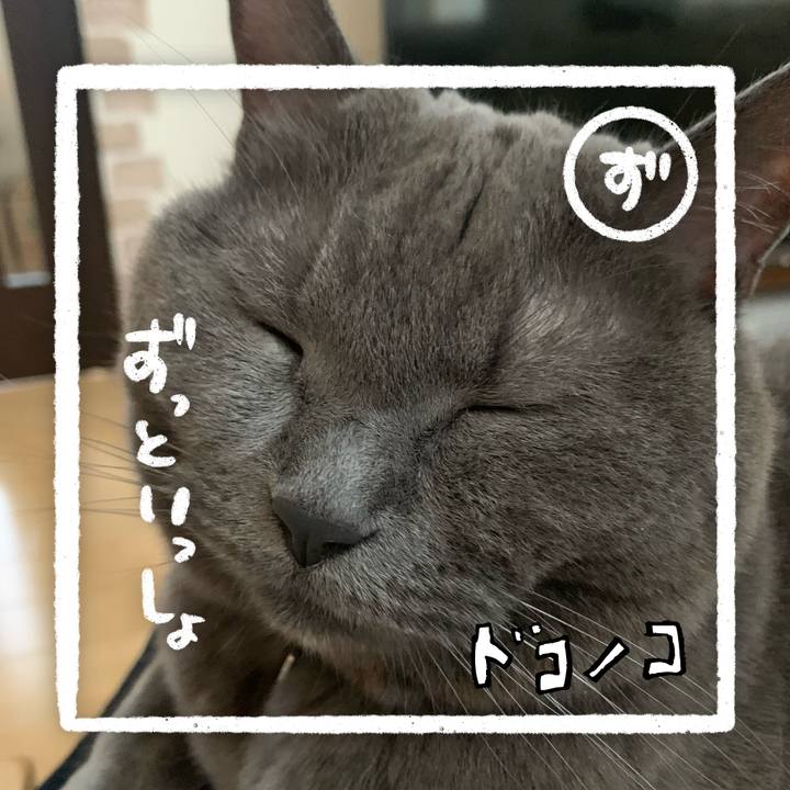 Bf16b2aa e208 4868 81dd 04c023c50bc2 1685995681870