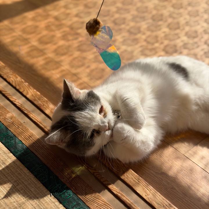 Bf16b490 7bd7 4566 9ebd f2449b1eb205 1763774472250