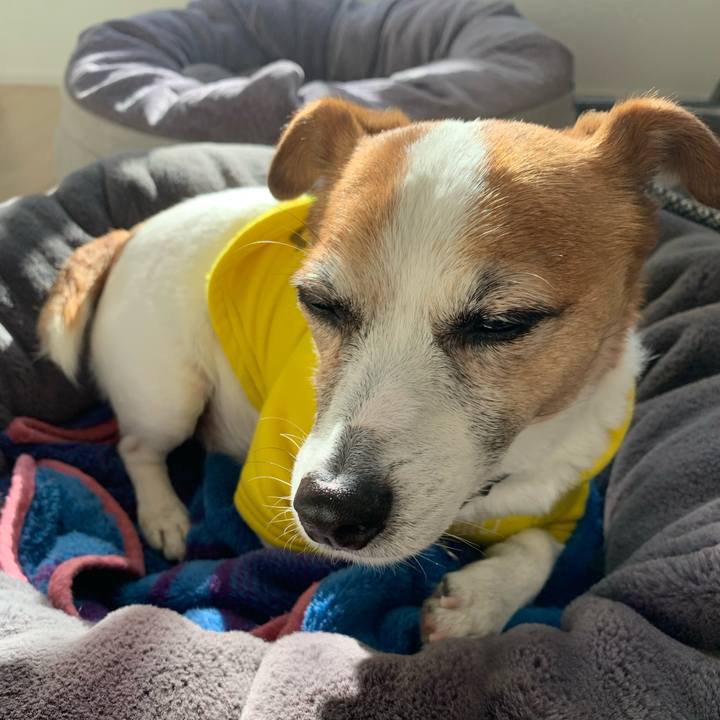 Bf16bb84 6445 46f4 ba84 a304a1bb6e55 1639802734180