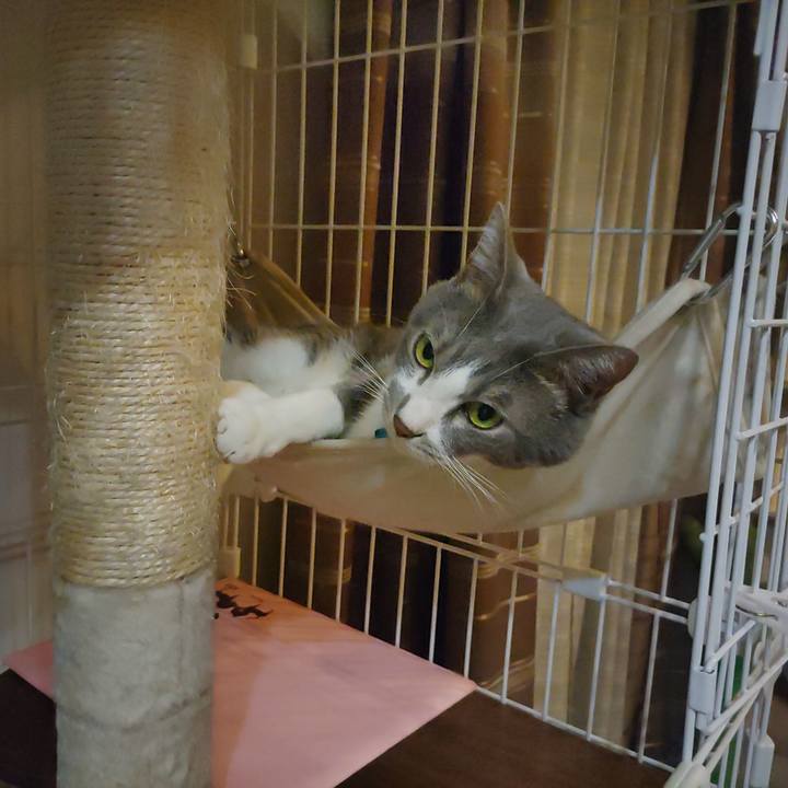 Bf170572 3b8c 4009 a323 707aefd25b27 1662554555798