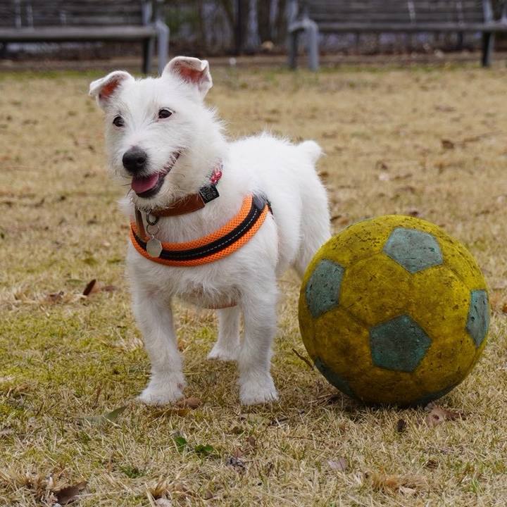 Bf171f32 450c 4a09 ba1c 8a20f1239a0f 1774405065378