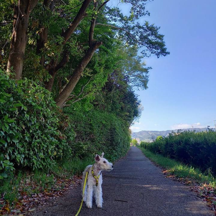 Bf1731f8 c264 48f1 b76e fac8bb98e76d 1652914835567