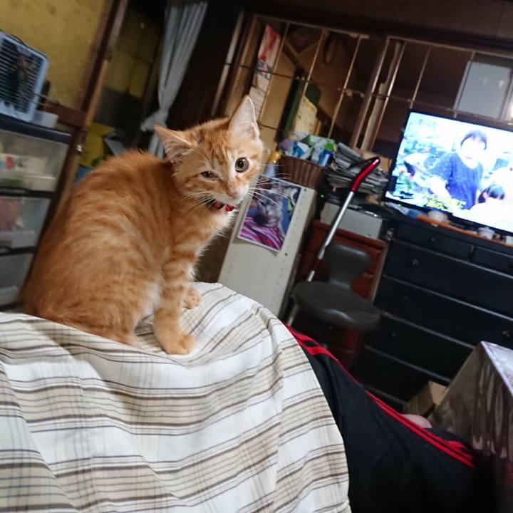 Bf17320a 041e 4e44 800a 8a05a0f80117 1628847146761