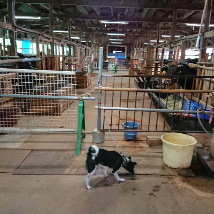 Bf176074 d0bc 403d 8e47 7e3c9a8aa996 1542015889298