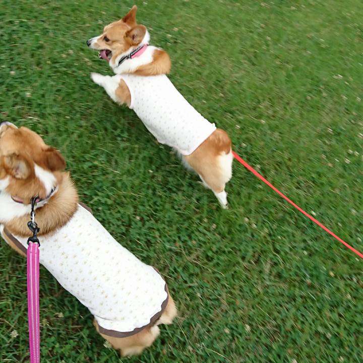 Bf17bf8a 084e 487d 9ada b1c36881d11c 1528586320927