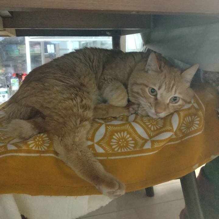 Bf1817b6 54e2 4ec5 9fdf a914e672c650 1709588428069