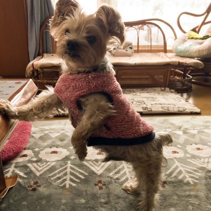 Bf182ed6 5e5c 4fc5 95f5 04539d0a9179 1549945718019