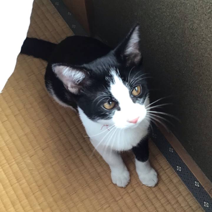 Bf1850bd 9cb9 477d b27d ca61554055df 1630634815086