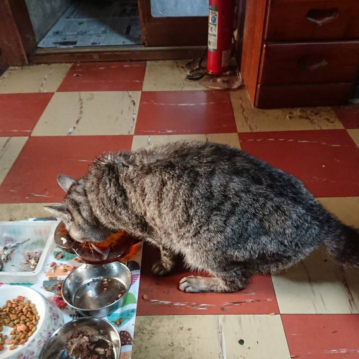 Bf18743f fb54 4d6d 9f3e 22d22bcfd6d6 1590183666524