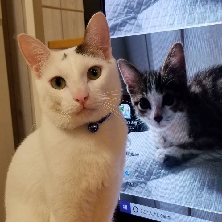 Bf187506 6bcc 4aa0 85b7 e0bccc54a706 1527419906349