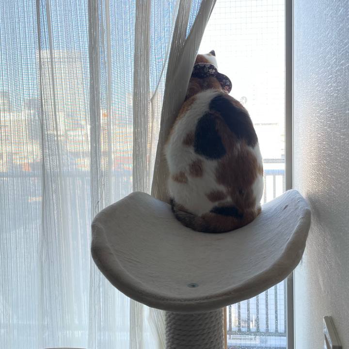 Bf188f4a cf33 48ff 8b9c 9b7259086255 1732491323630